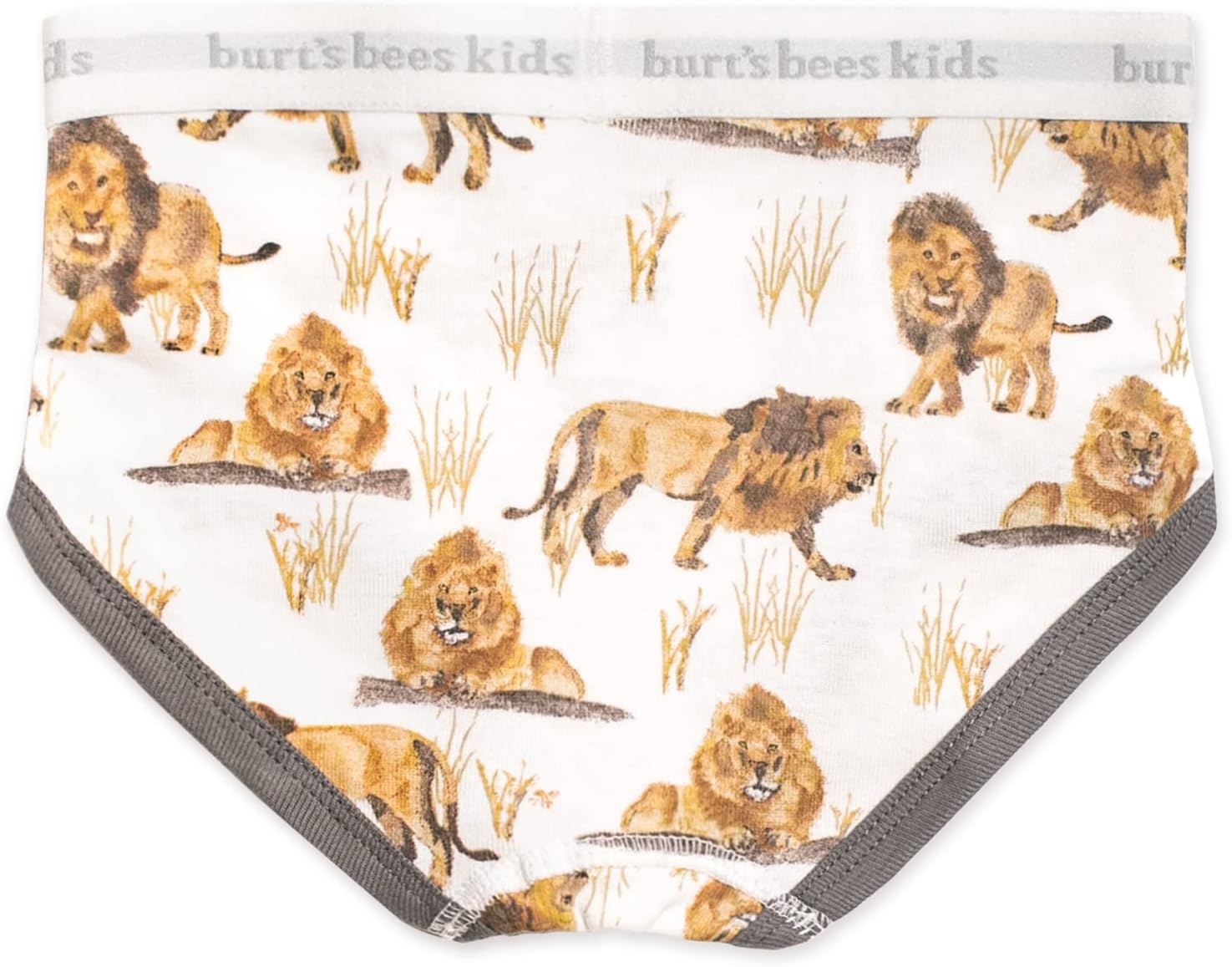 image:imageBurts Bees Baby Boys Brief Underwear 5Pack Organic Cotton Underwear for Boys Easy Stretch UndiesHappy Herbivores