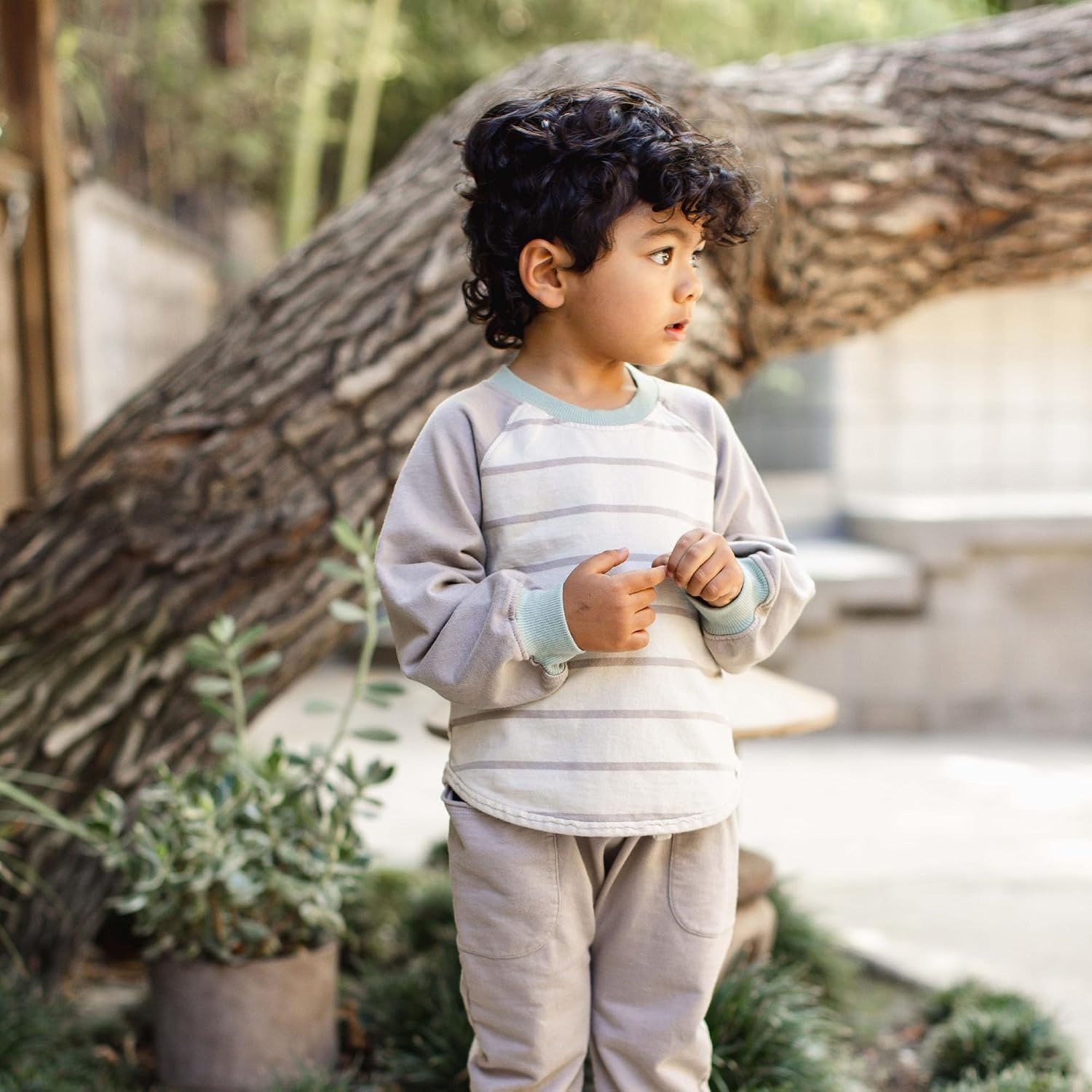 image:imageBurts Bees Baby Boys Shirt and Pant Set Long Sleeve Top amp Bottom Outfit Bundle 100 Organic CottonBasic Stripe