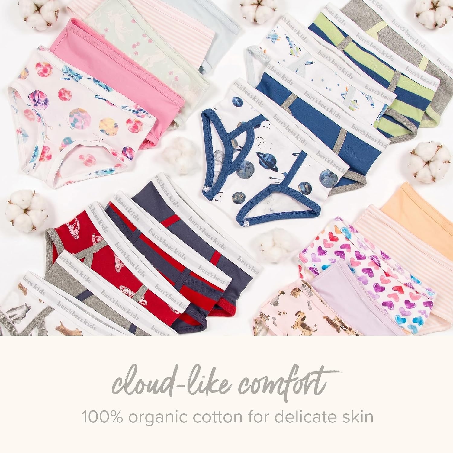 image:imageBurts Bees Baby Toddler Girls Underwear Set of 5 Solids StripesPrints TagFree with Sizes for 2T to 8 Years OldPuppies Rainbows