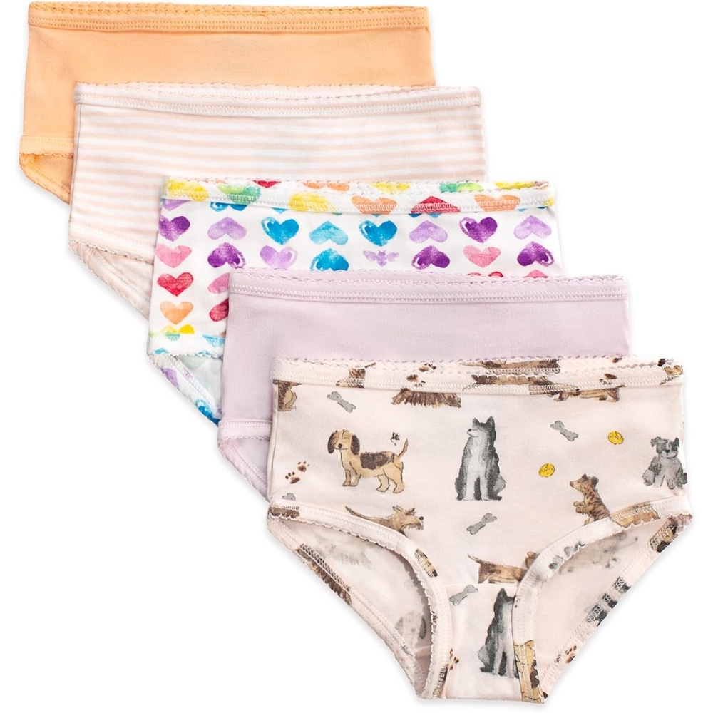 image:imageBurts Bees Baby Toddler Girls Underwear Set of 5 Solids StripesPrints TagFree with Sizes for 2T to 8 Years OldPuppies Rainbows