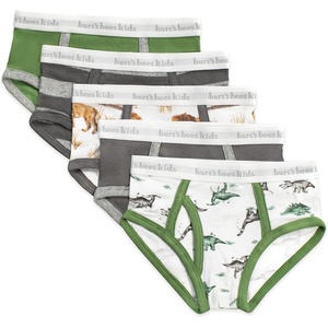 Burt’s Bees Baby Boys’ Brief Underwear 5-Pack, Organic Cotton Underwear for Boys, Easy Stretch Undies(Happy Herbivores)