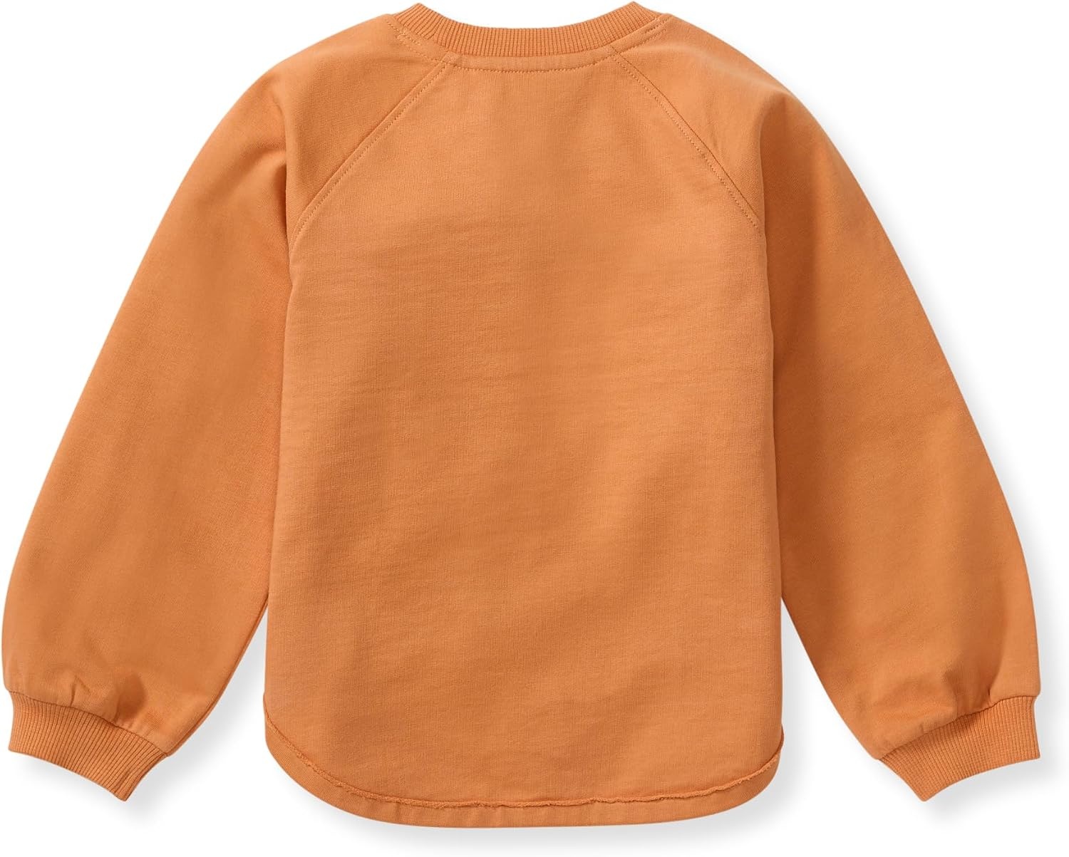 image:imageBurts Bees Baby babygirls Sweatshirt Lightweight Pull Over Sweater Organic Cotton Layering EssentialPumpkin Sweatshirt