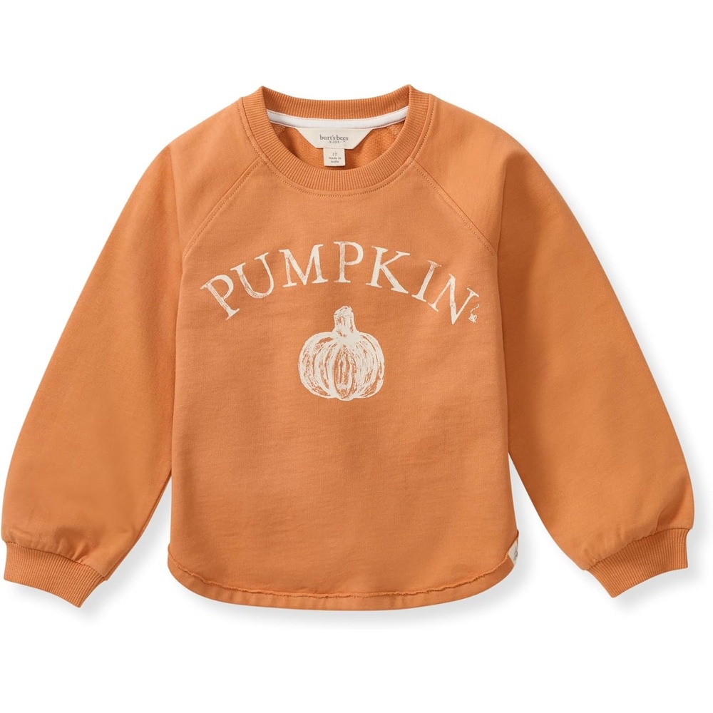 image:imageBurts Bees Baby babygirls Sweatshirt Lightweight Pull Over Sweater Organic Cotton Layering EssentialPumpkin Sweatshirt