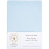 Light Blue Solid